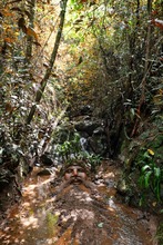 La Leonera se sacudi&oacute; la melena