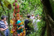 La Leonera se sacudi&oacute; la melena