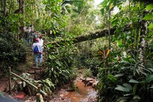 La Leonera se sacudi&oacute; la melena