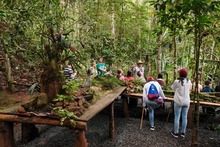 La Leonera se sacudi&oacute; la melena