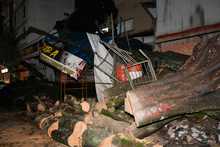 Fuertes lluvias desatan emergencia con varios &aacute;rboles colapsados