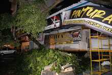 Fuertes lluvias desatan emergencia con varios &aacute;rboles colapsados