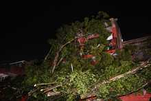 Fuertes lluvias desatan emergencia con varios &aacute;rboles colapsados