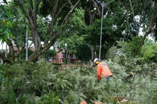 Avanza atenci&oacute;n de emergencias por precipitaciones del fin de semana