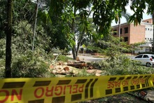 Avanza atenci&oacute;n de emergencias por precipitaciones del fin de semana