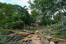 Avanza atenci&oacute;n de emergencias por precipitaciones del fin de semana