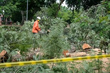 Avanza atenci&oacute;n de emergencias por precipitaciones del fin de semana