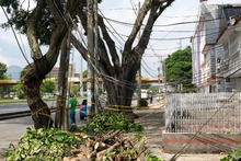 Avanza atenci&oacute;n de emergencias por precipitaciones del fin de semana