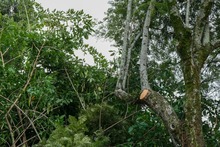 Avanza atenci&oacute;n de emergencias por precipitaciones del fin de semana