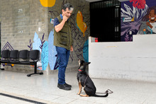 Centro de Bienestar Animal tiene un et&oacute;logo que ayuda a velar por la protecci&oacute;n de la fauna dom&eacute;stica de Cali