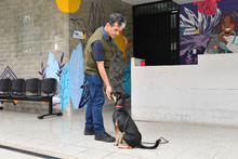 Centro de Bienestar Animal tiene un et&oacute;logo que ayuda a velar por la protecci&oacute;n de la fauna dom&eacute;stica de Cali