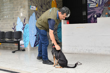 Centro de Bienestar Animal tiene un et&oacute;logo que ayuda a velar por la protecci&oacute;n de la fauna dom&eacute;stica de Cali