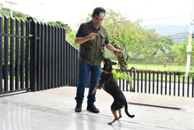 Centro de Bienestar Animal tiene un et&oacute;logo que ayuda a velar por la protecci&oacute;n de la fauna dom&eacute;stica de Cali