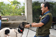 Centro de Bienestar Animal tiene un et&oacute;logo que ayuda a velar por la protecci&oacute;n de la fauna dom&eacute;stica de Cali