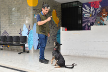 Centro de Bienestar Animal tiene un et&oacute;logo que ayuda a velar por la protecci&oacute;n de la fauna dom&eacute;stica de Cali