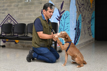 Centro de Bienestar Animal tiene un et&oacute;logo que ayuda a velar por la protecci&oacute;n de la fauna dom&eacute;stica de Cali