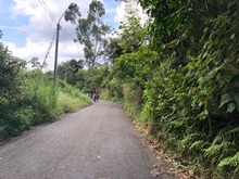 Material de fresado, una oportunidad para mejorar las v&iacute;as de los corregimientos en Cali