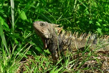 Con el trabajo diario de 75 hombres y mujeres, Cali tendr&aacute; su Parque Pac&iacute;fico