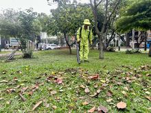 La Uaesp enluci&oacute; el Parque de La M&uacute;sica, en la Comuna 2