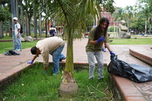 Unidad de Bienes y Servicios se puso la camiseta para embellecer el Parque Central R&iacute;o Cali