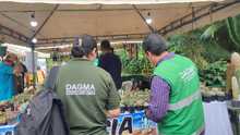Dagma decomis&oacute; 6 unidades de orqu&iacute;deas extra&iacute;das del bosque en &lsquo;Cali Orqu&iacute;deas&rsquo;