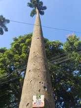 Bosque Urbano de Santa Librada lidera acciones en guianza tur&iacute;stica natural y cultural