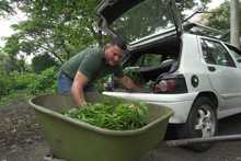 300 plantas ornamentales fueron entregadas a seis iniciativas comunitarias para fortalecer su cultura ambiental