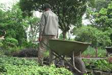 300 plantas ornamentales fueron entregadas a seis iniciativas comunitarias para fortalecer su cultura ambiental