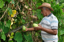 Coraz&oacute;n Contento expuso importantes avances en la rendici&oacute;n de cuentas