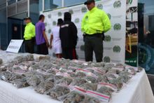 Desarticuladas dos bandas criminales que afectaban a j&oacute;venes del norte de Cali