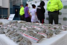 Desarticuladas dos bandas criminales que afectaban a j&oacute;venes del norte de Cali