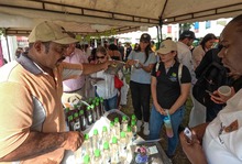  Una vuelta por los 26.1 kil&oacute;metros de oportunidades del jarill&oacute;n