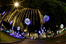 Recorrido del Alumbrado Navide&ntilde;o en el Bulevar del R&iacute;o iniciar&aacute; por el Paseo Bol&iacute;var 