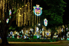 Recorrido del Alumbrado Navide&ntilde;o en el Bulevar del R&iacute;o iniciar&aacute; por el Paseo Bol&iacute;var 