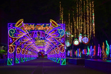 Alcalde se camin&oacute; &lsquo;la alborada&rsquo; de luces multicolores para dar la bienvenida al tiempo m&aacute;s alegre del a&ntilde;o