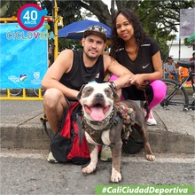 Enciende la luz de la navidad en la Ciclovida