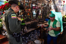 Operativos de control al tr&aacute;fico de flora y fauna 