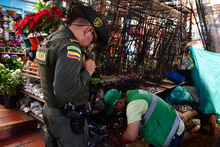 Operativos de control al tr&aacute;fico de flora y fauna 