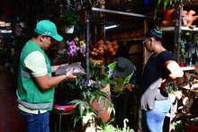 Operativos de control al tr&aacute;fico de flora y fauna 
