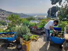 Gestoras y gestores le apuestan a la autosostenibilidad de sus comedores