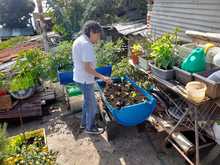 Gestoras y gestores le apuestan a la autosostenibilidad de sus comedores