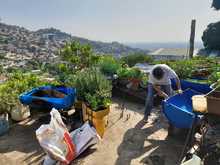 Gestoras y gestores le apuestan a la autosostenibilidad de sus comedores