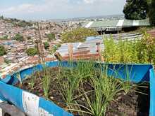 Gestoras y gestores le apuestan a la autosostenibilidad de sus comedores