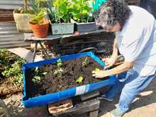 Gestoras y gestores le apuestan a la autosostenibilidad de sus comedores