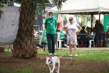 &lsquo;Dagma al Barrio&rsquo; en el Parque del Perro