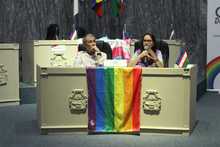 &Uacute;ltima sesi&oacute;n del cuatrienio realiz&oacute; el Comit&eacute; de Concertaci&oacute;n CaliDiversidad