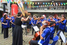 Dos mil hogares cale&ntilde;os ya cuentan con energ&iacute;a solar