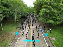 Finalizan ensayos de bailadores y escuelas de bailarines para el Sals&oacute;dromo