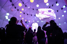 En familia y amigos, ciudadanos madrugan a disfrutar el alumbrado navide&ntilde;o de Cali