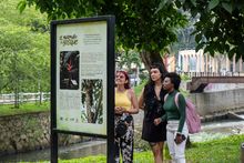 El murmullo del bosque se escucha en el corredor del r&iacute;o Cali